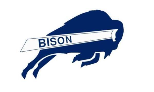 Blue Bison Logo - Mascots - Logos