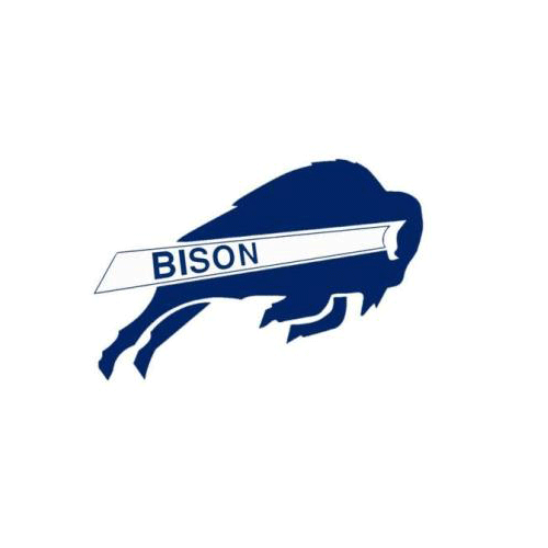 Blue Bison Logo - 100 Pics Sports Logos 16 level answer: BISON