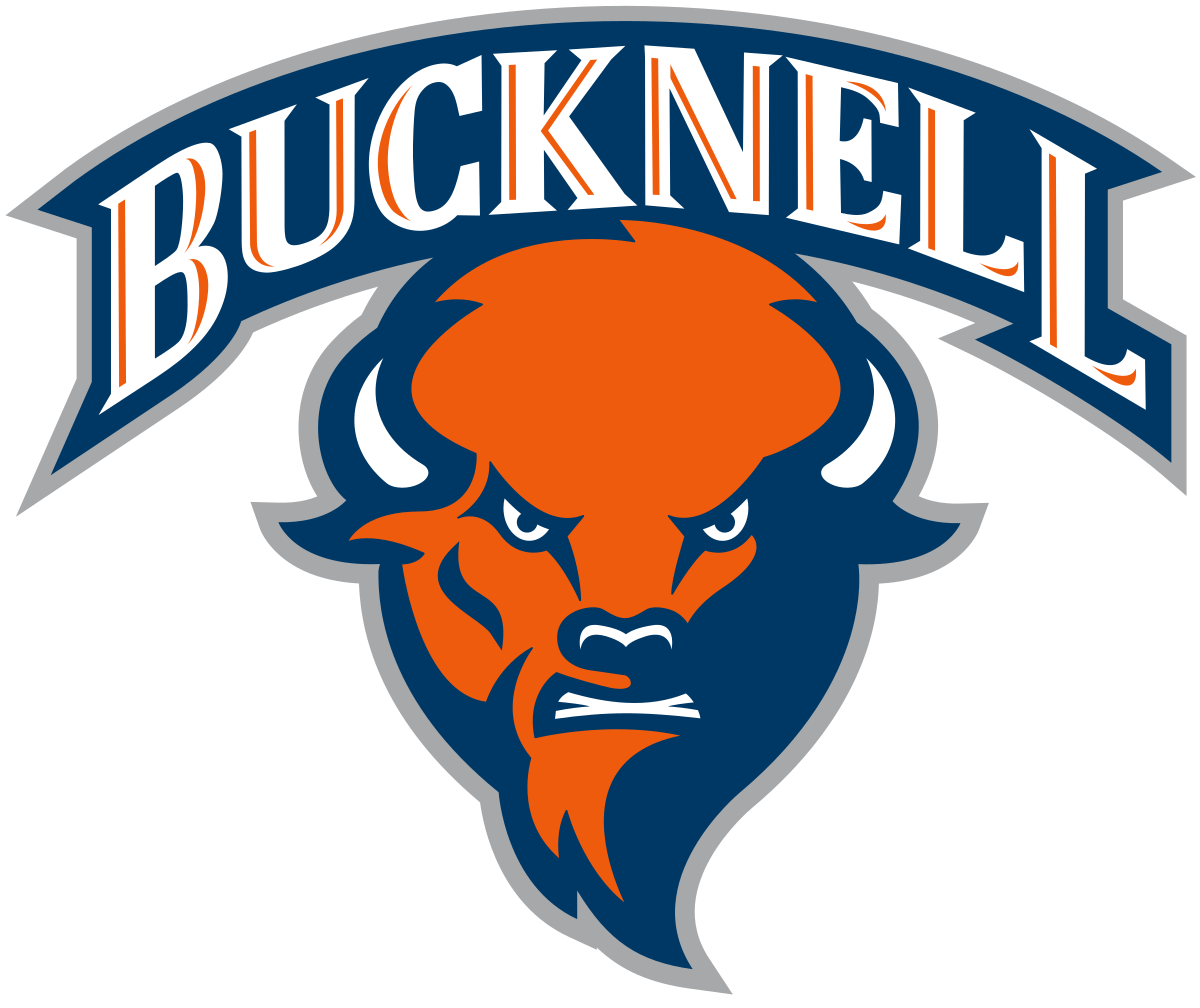 Blue Bison Logo - Bucknell Bison