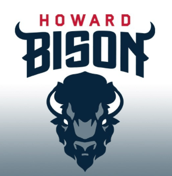 Blue Bison Logo - Logo Design News This Week (5.30)