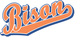 Blue Bison Logo - Team Pride: Bison team script logo