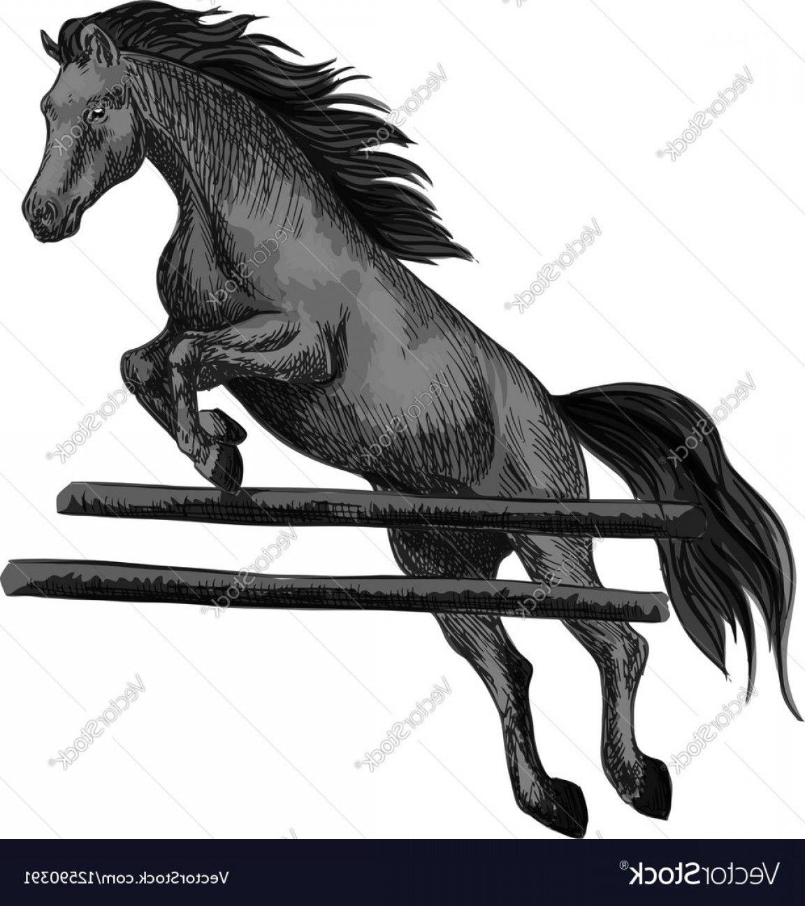 Horse Jumping Vector Logo - Horse Jumping Vector | sohadacouri