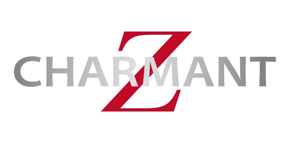 300 Z Logo - Brand Introduction - Charmant