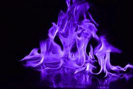 Black and Purple Flames Logo - Gas Flame Photo and Image