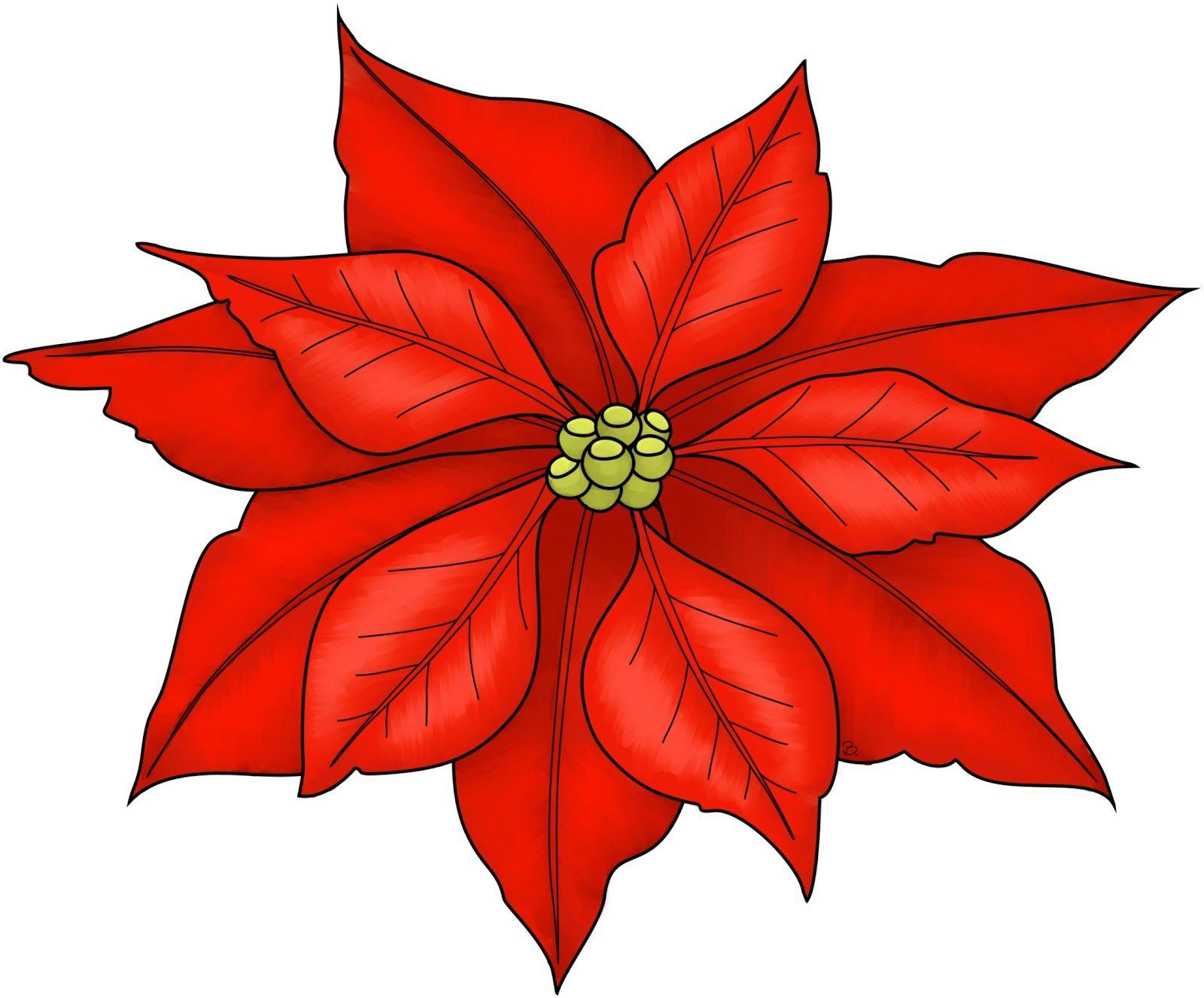 Poinsettia Logo - STA Holiday Poinsettia Sale!. St. Thomas Aquinas School