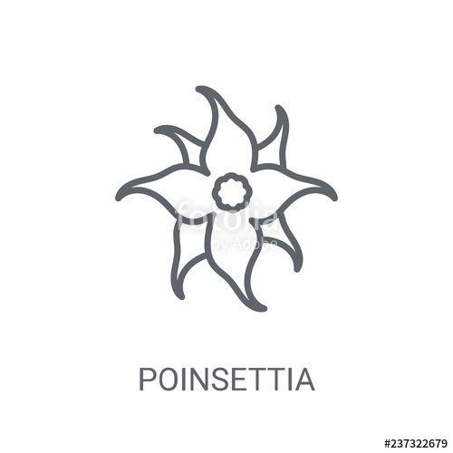 Poinsettia Logo - Poinsettia icon. Trendy Poinsettia logo concept on white background