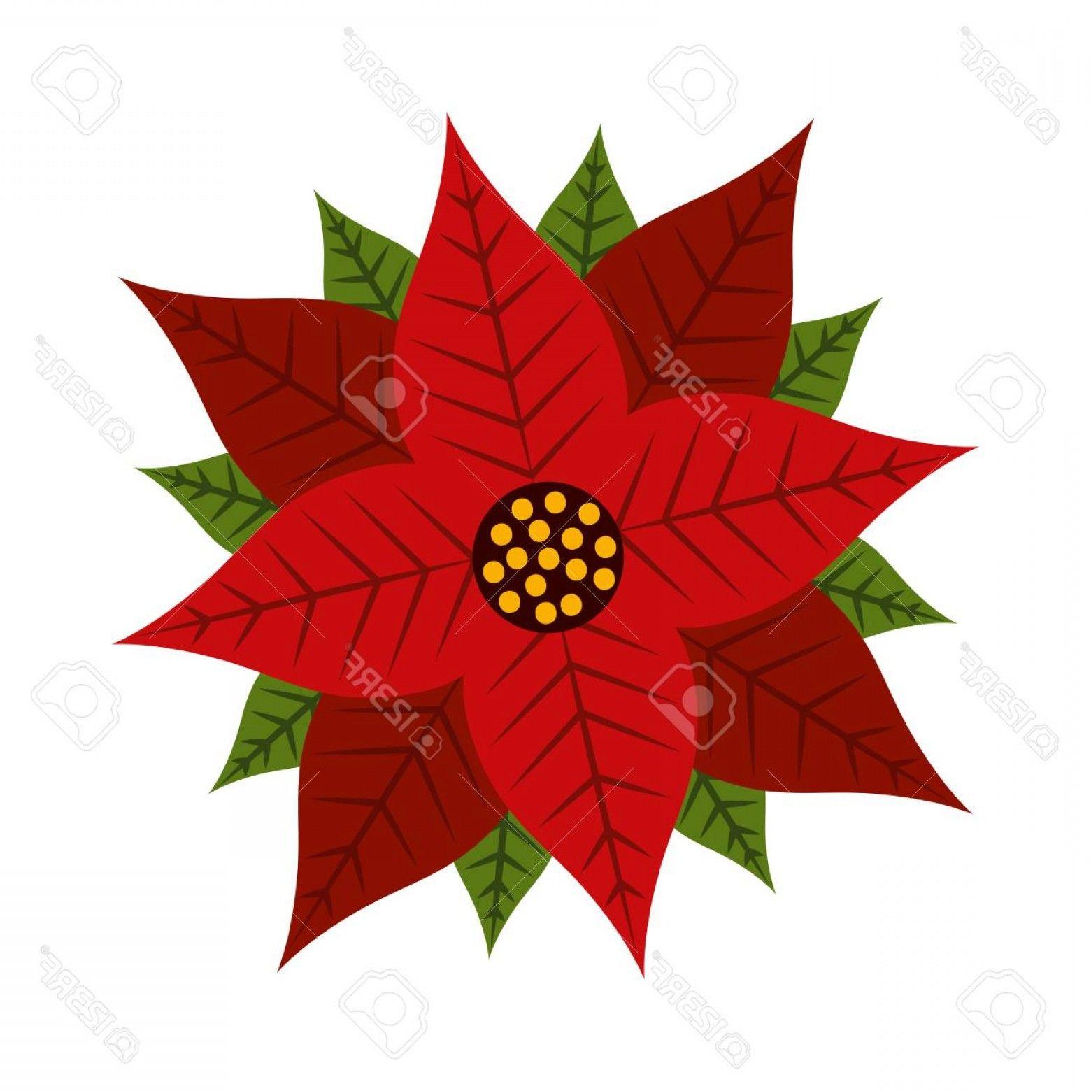 Poinsettia Logo - Vector Christmas Flowers Poinsettias