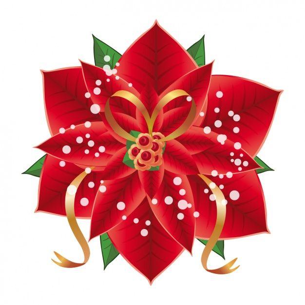 Poinsettia Logo - Poinsettia background design Vector | Free Download