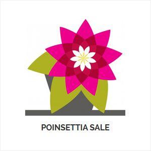 Poinsettia Logo - Poinsettia Sale - The Bell Center