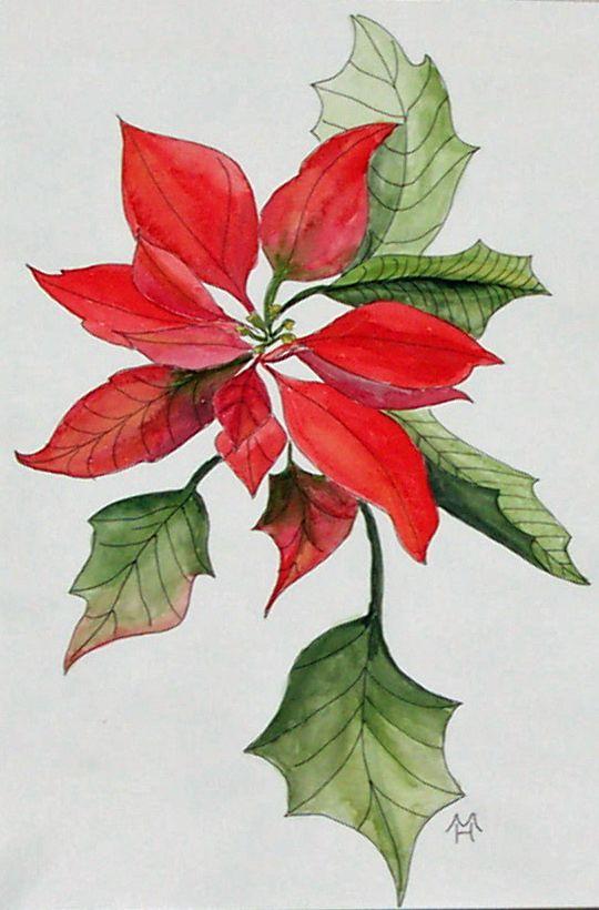 Poinsettia Logo - Picacho Hills Artist Group - View Artwork