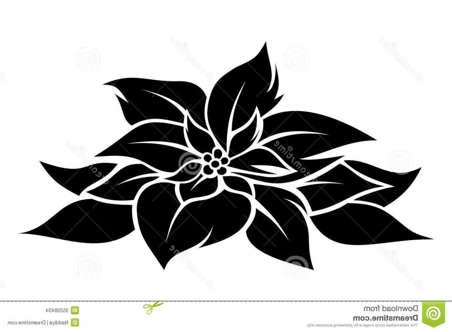 Poinsettia Logo - Poinsettia Border Black And White Template | SOIDERGI