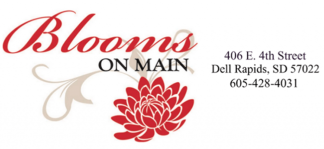 Poinsettia Logo - Red Poinsettia Dell Rapids, SD Florist | Blooms On Main