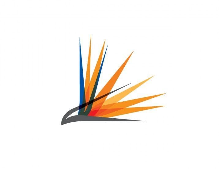 Bird of Paradise Flower Logo - Liquid Capital Group: branding — Jog Limited