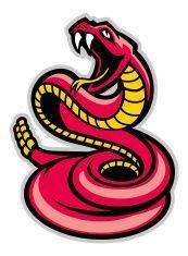 Snake Team Logo - rattle snake mascot vector art illustration | Snakes-Cobras Logos ...
