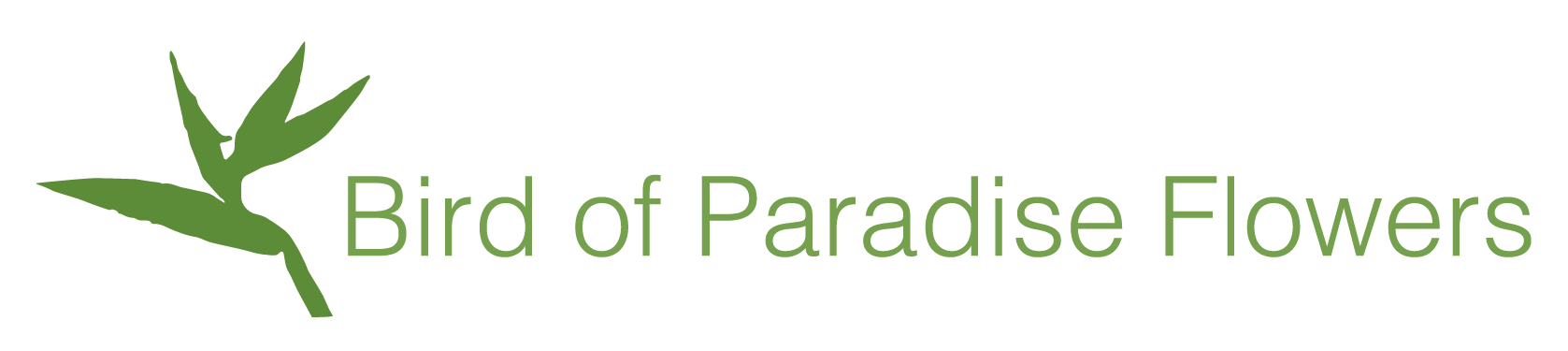Bird of Paradise Logo - Bristol Florist Bird Of Paradise Flowers Voted #1 Best Florist