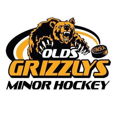 Grizzly Hockey Logo - Girls Grizzly Hockey (@GirlsHockeyOlds) | Twitter