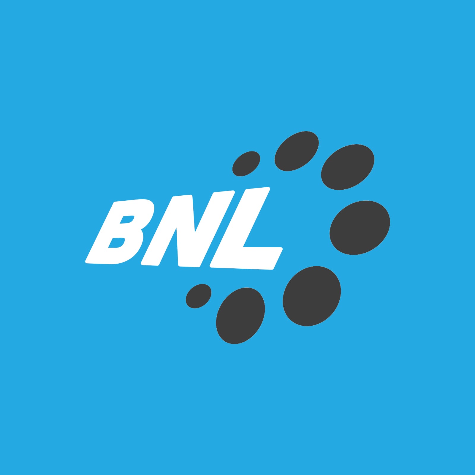 BNL Logo - Portfolio