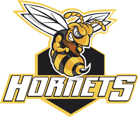 Hornets Football Logo - Make this amazing design-Charlotte Hornets logo on your shirts ...