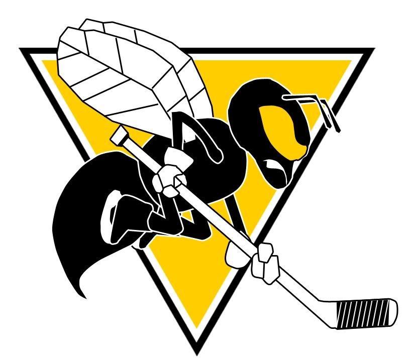 Hornets Sports Logo - Pittsburgh Hornets concept Logos Creamer's Sports