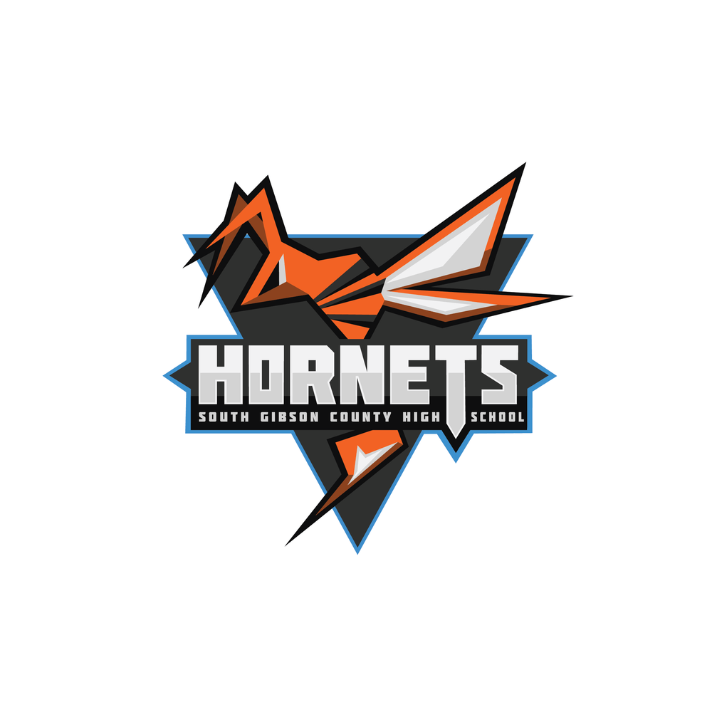 Hornets Sports Logo - Hornets Sports Branding — Anna Guthrie Designs