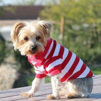 Red and White Dog Logo - Red /White Striped Polo Dog Shirt – Dog Clothes Puppy Love Dog Boutique