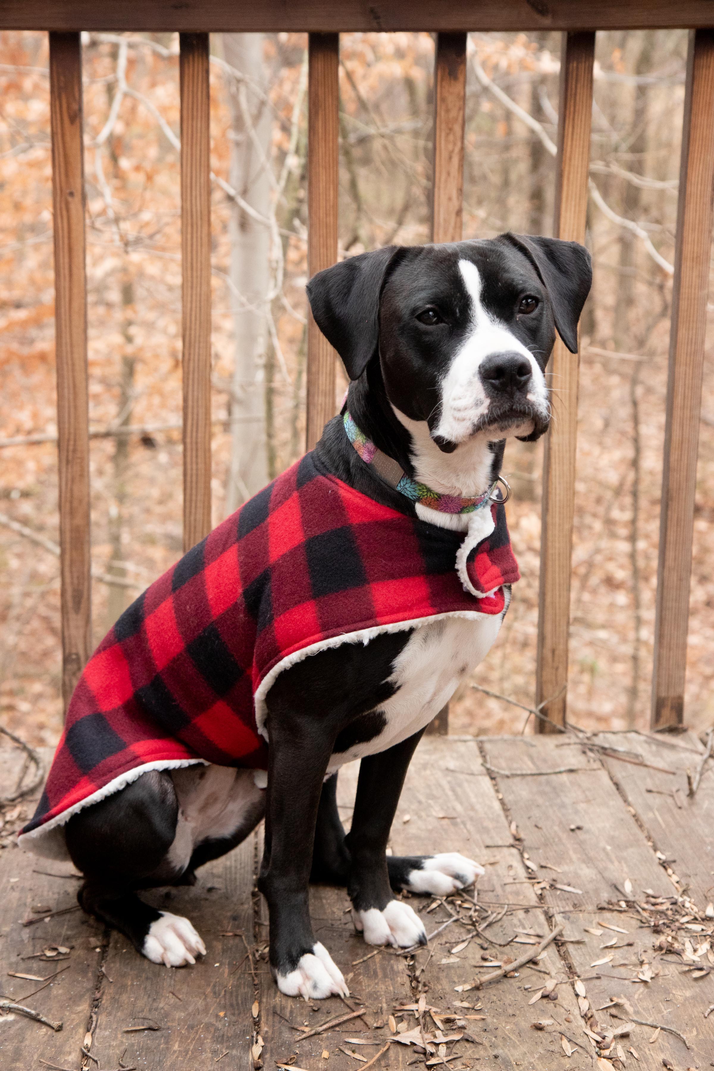 Red and White Dog Logo - How to Sew a Cozy Custom Dog Coat in Less than an Hour | Wholefully