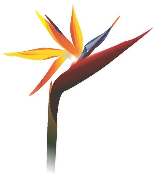 Paradise Flower Logo - Hyper Realistic Bird of Paradise