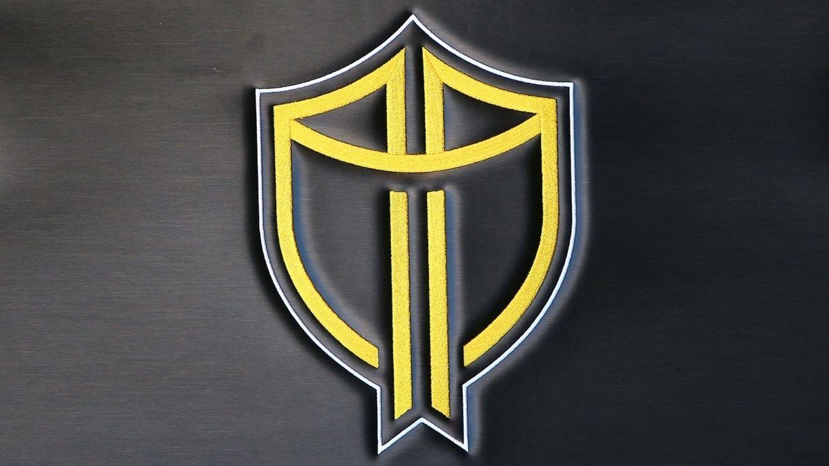 Gray Shield Logo - Ernie Els unveils new shield for International Presidents Cup team ...