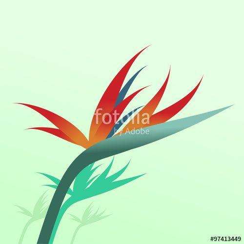Paradise Flower Logo - Bird of Paradise Flower Illustration