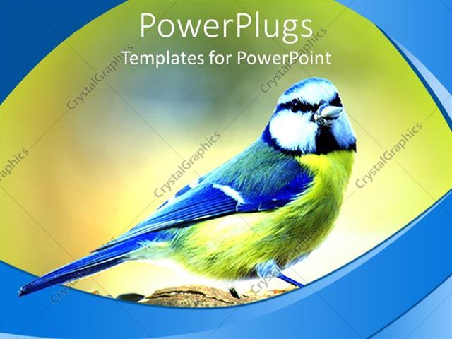 Yellow Bird Blue Background Logo - PowerPoint Template: Blue and yellow bird on green background (29731)