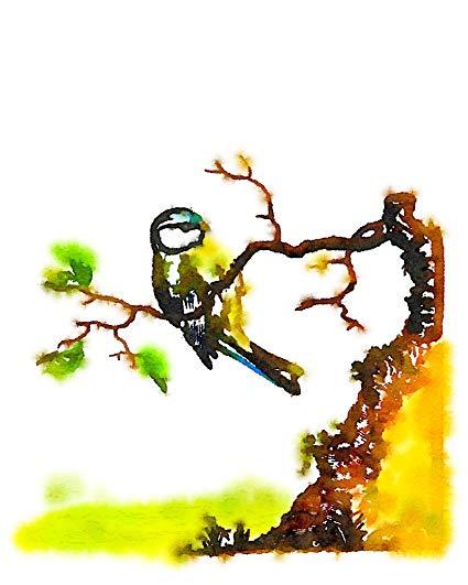 Yellow Bird Blue Background Logo - Amazon.com: 8x10 Victorian Audubon Fine Art Print of a Blue and ...