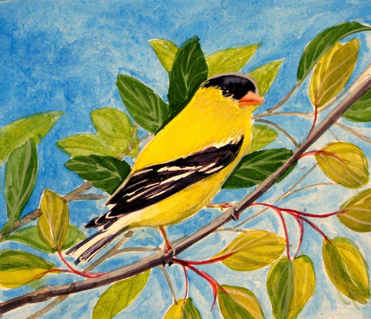 Yellow Bird Blue Background Logo - Goldfinch original yellow bird on branches goldfinch watercolor blue ...