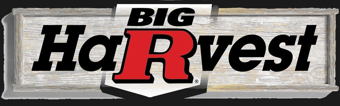 Big R Logo - Quality Merchandise At Everyday Low Prices | Big R Stores