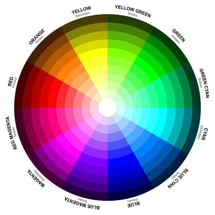 Blue Green Purple Orange Red Circle Logo - Understand The 7 Chakra Colors And What They Mean