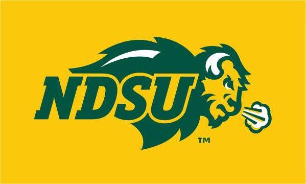 Green Bison Logo - Flag - NDSU Logo Full Color | NDSU Bookstore