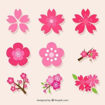 Pink Green Flower Logo - Flower Vectors, Photo and PSD files