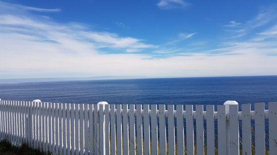 Blue and White Spear Logo - White fences against an ocean of blue - Picture of Cape Spear ...