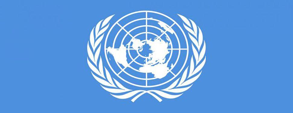 Baby in a World with Blue Logo - The UN General Assembly adopts Resolution on ODR | ODR - Online ...