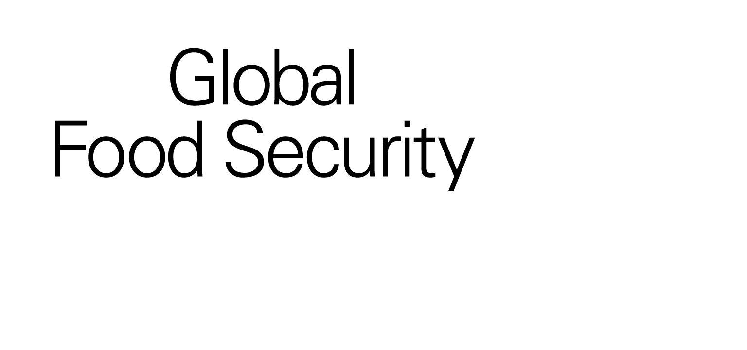 Google White Logo - Download logo - Global Food Security
