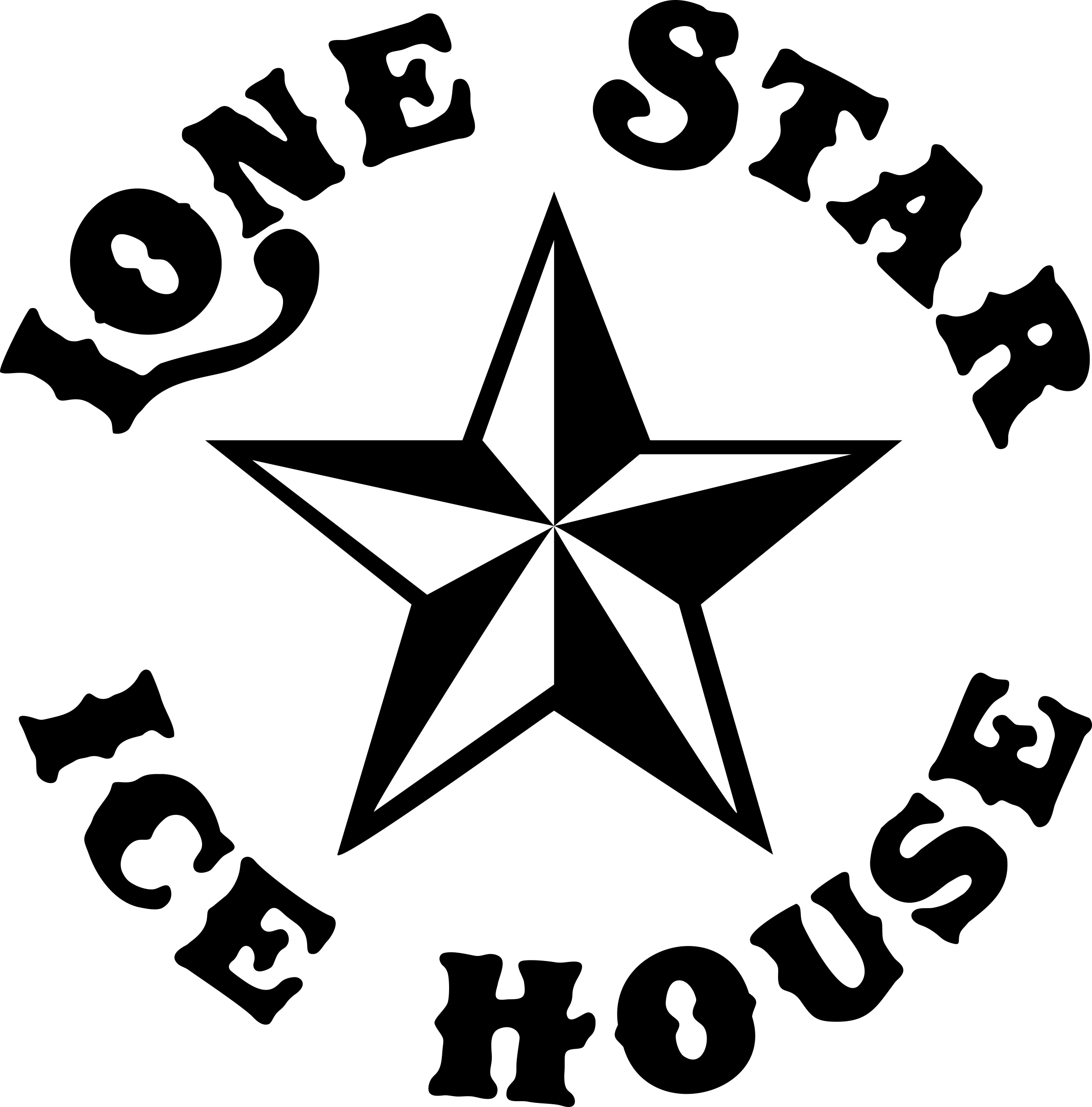 Star in House Logo - Lone Star Ice House Logo