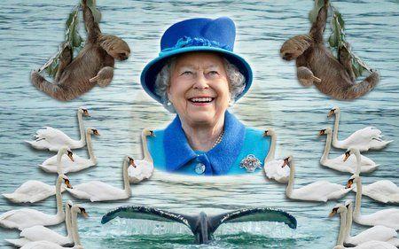 A and Two Swans Sun Logo - Why Queen Elizabeth Owns All of the Dolphins and Swans in England
