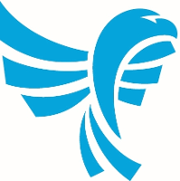 Blue Eagle Logo - Working at Blue Eagle Consulting