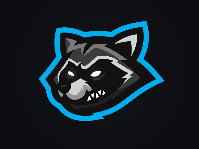 Raccoon Logo - Raccoon Mascot Logo