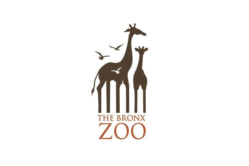 Hidden Zoo Logo - famous logos with hidden messages