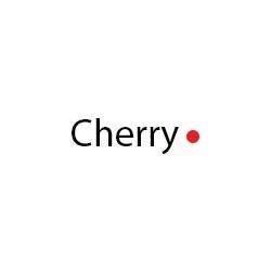 Red Cherry Logo - Red Cherry Client Reviews