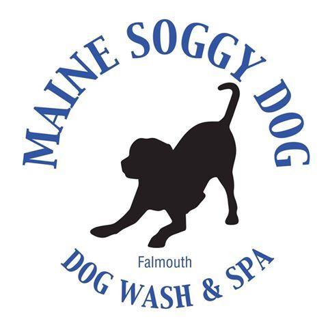 Soggy Dog Logo - Dog Groomer in Falmouth, ME Soggy Dog
