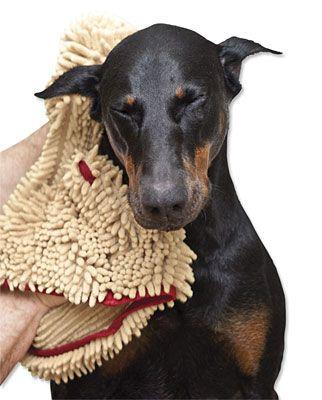 Soggy Dog Logo - Dog Drying Towel / Soggy Doggy Drying Towel -- Orvis UK