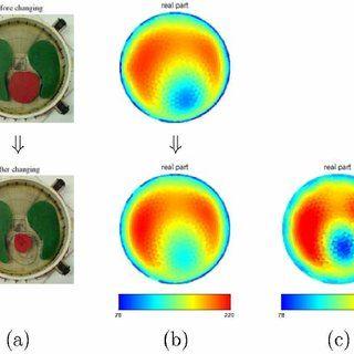 ICG Circle Rainbow Logo - PDF) Dynamic electrical impedance imaging of a chest phantom using