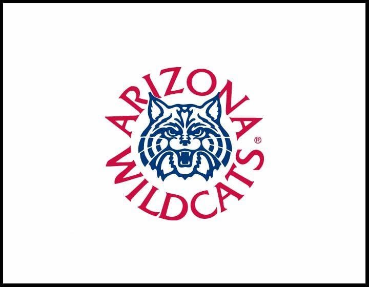 U of a Wildcats Logo - Paper & Logo Samples