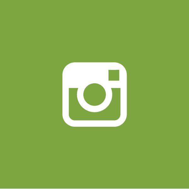 Green Social Media Logo - Social Media : | Northwestern Student Affairs